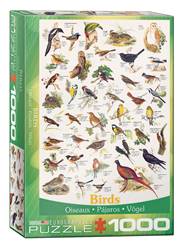 PUZZLE 1000 PIEZAS (48 x 68 cm) - PAJAROS