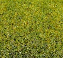FLOCK VERDE CLARO ELECTROESTATICO 2,5 mm en bolsa de 100 g