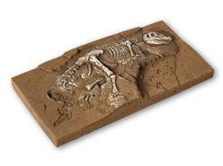 EXCAVACIONES CON RESTOS DE TIRANOSAURIO REX (13,5 x 6,8 x 1,6 cm)