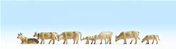 VACAS