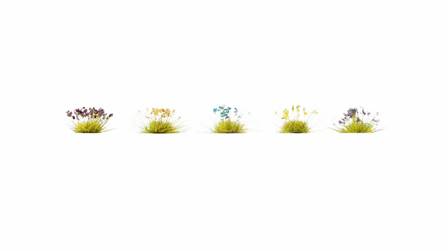 FLORES SILVESTRES