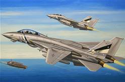 F-14D SUPER TOMCAT