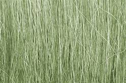 MATAS HIERBA, JUNCOS, COLOR VERDE CLARO (L=5,08 cm)