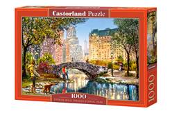 PUZZLE DE 1000 PIEZAS (47 x 68 cm) - CENTRAL PARK