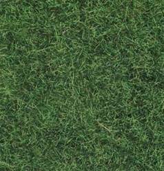 FLOCK VERDE MEDIO (6 mm) 50 g