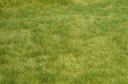 TAPIZ VERDE A RODALES (45 x 17 cm)