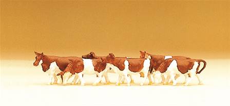 VACAS